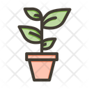 پیش‌نمایش فایل plant-10659414 از پک رکود