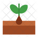 پیش‌نمایش فایل grow-plant-10677072 از پک کشاورزی