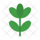 پیش‌نمایش فایل plant-10677067 از پک کشاورزی