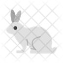 پیش‌نمایش فایل rabbit-10677066 از پک کشاورزی