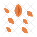 پیش‌نمایش فایل seeds-10677049 از پک کشاورزی