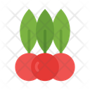 پیش‌نمایش فایل berries-10678348 از پک بقا