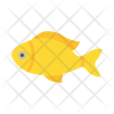 پیش‌نمایش فایل fish-10678352 از پک بقا