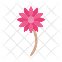 پیش‌نمایش فایل flower-10678520 از پک تابستان