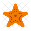 پیش‌نمایش فایل starfish-10678513 از پک تابستان
