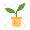 پیش‌نمایش فایل plants-10678590 از پک زمستان