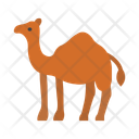 پیش‌نمایش فایل camel-10678903 از پک اسلامی