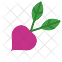 پیش‌نمایش فایل beetroot-10680940 از پک سبزیجات