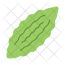 پیش‌نمایش فایل bitter-gourd-10680945 از پک سبزیجات