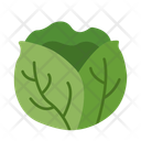 پیش‌نمایش فایل cabbage-10680986 از پک سبزیجات