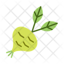 پیش‌نمایش فایل kohlrabi-10680962 از پک سبزیجات