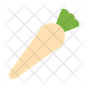 پیش‌نمایش فایل parsnip-10680958 از پک سبزیجات