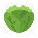 پیش‌نمایش فایل cabbage-10680850 از پک غذا
