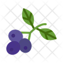 پیش‌نمایش فایل blueberries-10681069 از پک میوه