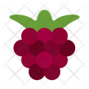 پیش‌نمایش فایل boysenberries-10681063 از پک میوه