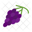 پیش‌نمایش فایل grapes-10681042 از پک میوه