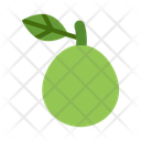 پیش‌نمایش فایل guava-10681043 از پک میوه