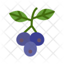پیش‌نمایش فایل huckleberry-10681088 از پک میوه