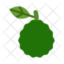 پیش‌نمایش فایل kaffir-lime-10681076 از پک میوه