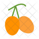 پیش‌نمایش فایل kumquat-10681087 از پک میوه