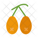 پیش‌نمایش فایل loquat-10681040 از پک میوه