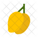 پیش‌نمایش فایل mango-10681047 از پک میوه