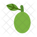 پیش‌نمایش فایل ogeechee-limes-10681046 از پک میوه