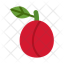 پیش‌نمایش فایل plum-10681054 از پک میوه