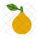پیش‌نمایش فایل quince-10681055 از پک میوه