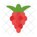 پیش‌نمایش فایل raspberries-10681045 از پک میوه