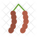 پیش‌نمایش فایل tamarind-10681053 از پک میوه