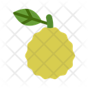 پیش‌نمایش فایل ugli-fruit-10681044 از پک میوه