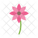 پیش‌نمایش فایل flower-10685344 از پک اکولوژی