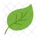 پیش‌نمایش فایل leaf-10685353 از پک اکولوژی