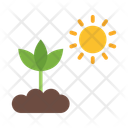 پیش‌نمایش فایل photosynthesis-10685351 از پک اکولوژی