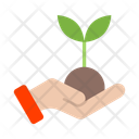 پیش‌نمایش فایل replant-10685314 از پک اکولوژی