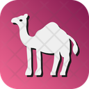 پیش‌نمایش فایل camel-10702355 از پک اسلامی