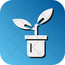 پیش‌نمایش فایل plants-10702209 از پک زمستان