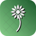 پیش‌نمایش فایل flower-10701544 از پک تابستان