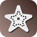 پیش‌نمایش فایل starfish-10701537 از پک تابستان
