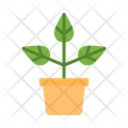 پیش‌نمایش فایل plant-10686926 از پک سازمان