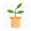 پیش‌نمایش فایل plants-10686805 از پک طراحی داخلی