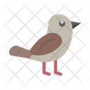 پیش‌نمایش فایل bird-10685655 از پک طبیعت