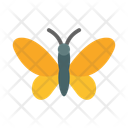 پیش‌نمایش فایل butterfly-10685646 از پک طبیعت