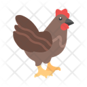 پیش‌نمایش فایل chicken-10685650 از پک طبیعت