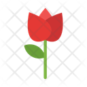 پیش‌نمایش فایل flowers-10685656 از پک طبیعت
