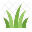 پیش‌نمایش فایل grass-10685623 از پک طبیعت