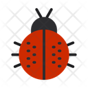 پیش‌نمایش فایل ladybug-10685642 از پک طبیعت