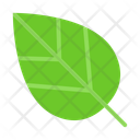 پیش‌نمایش فایل leaf-10685639 از پک طبیعت
