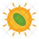 پیش‌نمایش فایل photosynthesis-10685631 از پک طبیعت
